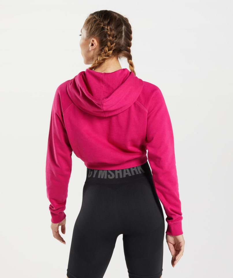 Women's Gymshark Training Cropped Hoodie Fuchsia | NZ 4RZKVL